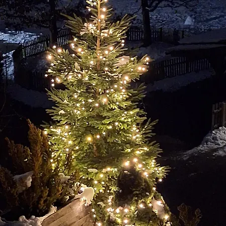 Διαμέρισμα Martin *