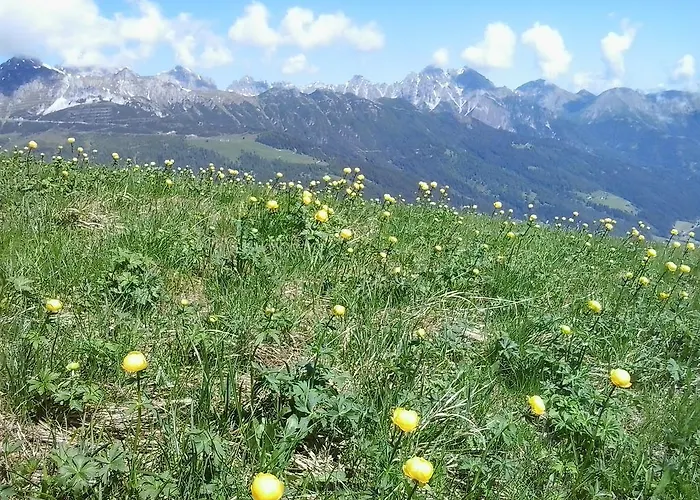 Apartment Martin Neustift im Stubaital