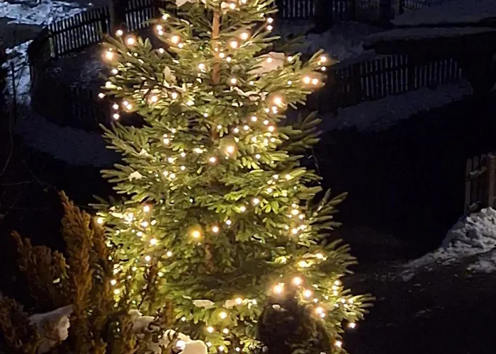 Апартаменти Martin *